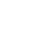 Icon Coaching
