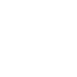 Icon Sicherheit